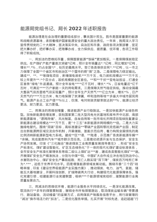能源局党组书记、局长2022年述职报告.doc