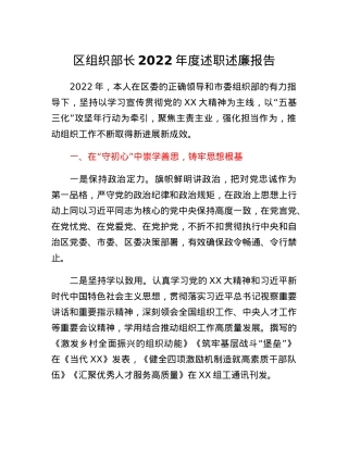 区组织部长2022年度述职述廉报告.docx