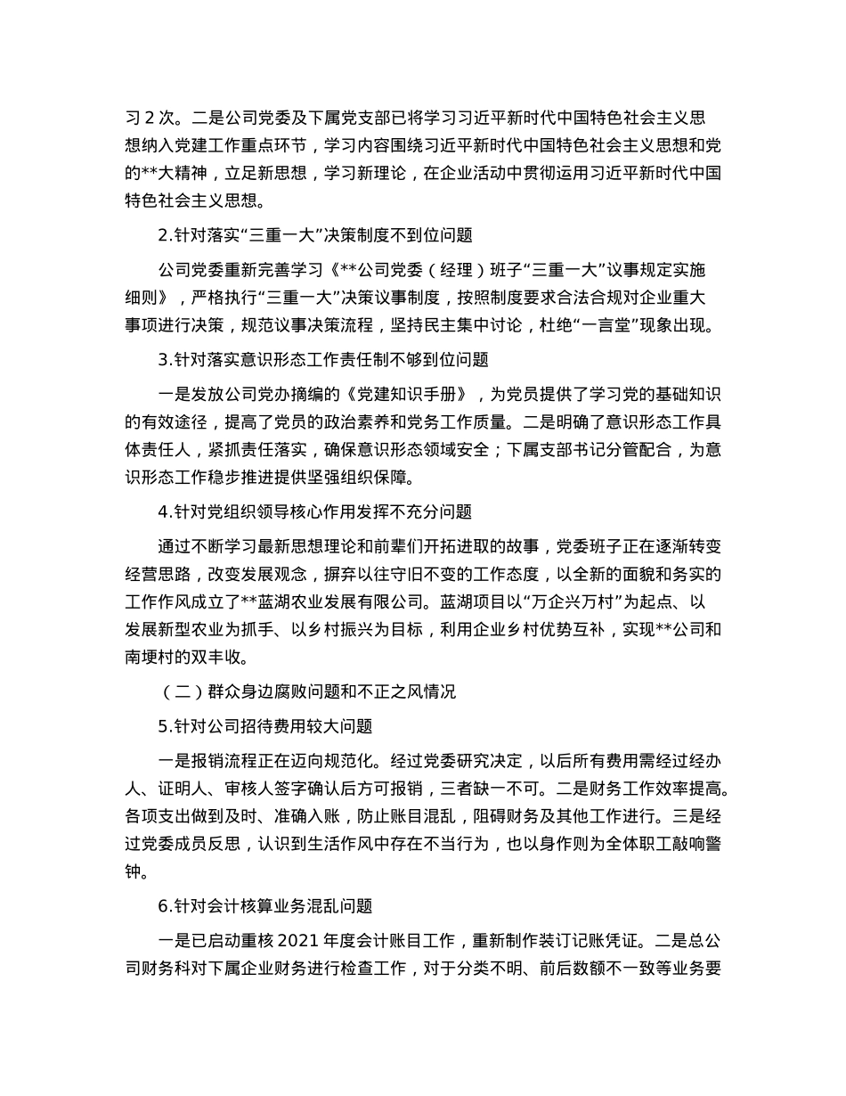 市国企公司党委关于巡察整改进展情况的报告.docx_第2页