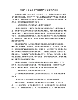 市国企公司党委关于巡察整改进展情况的报告.docx
