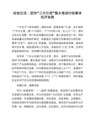 经验交流：坚持“三方引领”整乡推进村级集体经济发展.doc