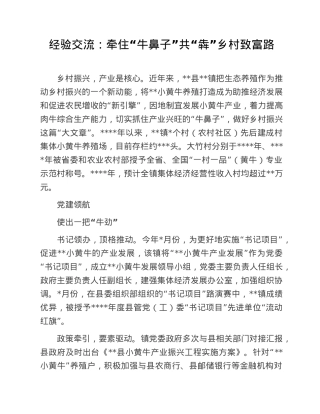 经验交流：牵住“牛鼻子”共“犇”乡村致富路.doc