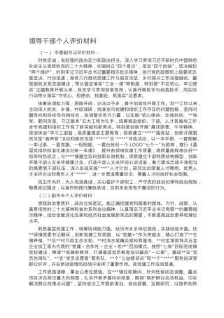领导干部个人评价材料.doc