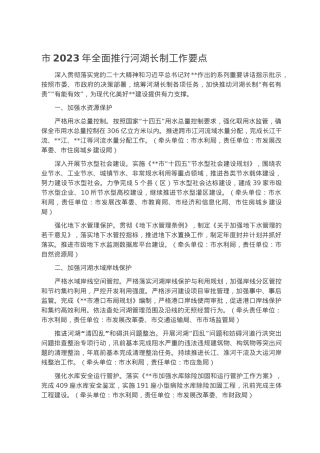 市2023年全面推行河湖长制工作要点.docx