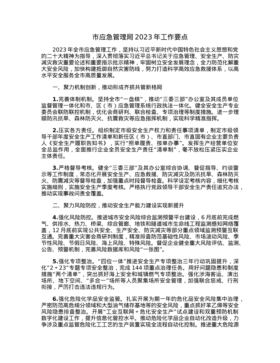 市应急管理局2023年工作要点.docx_第1页