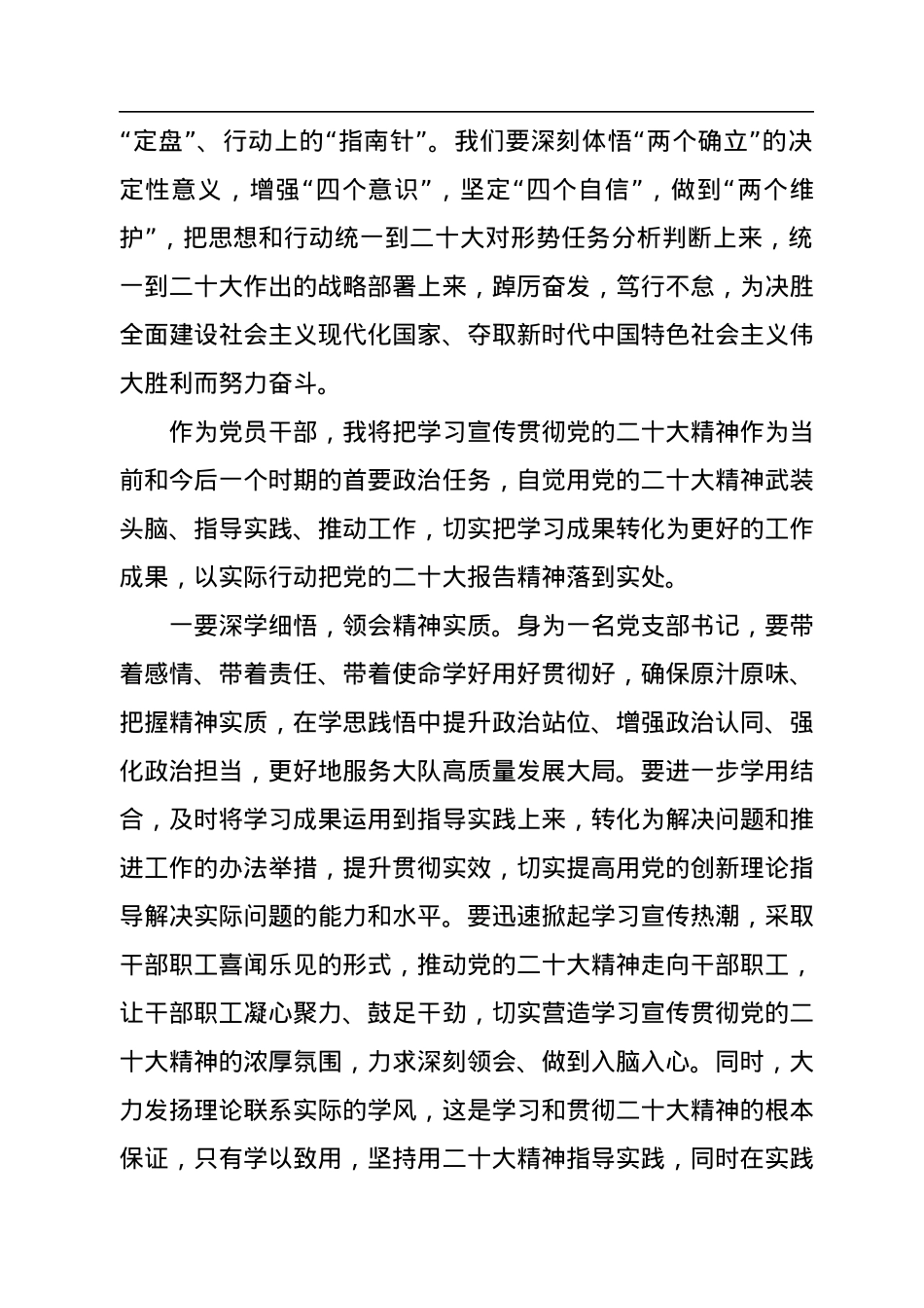 党支部书记学习党的二十大报告精神交流座谈会发言.docx_第3页
