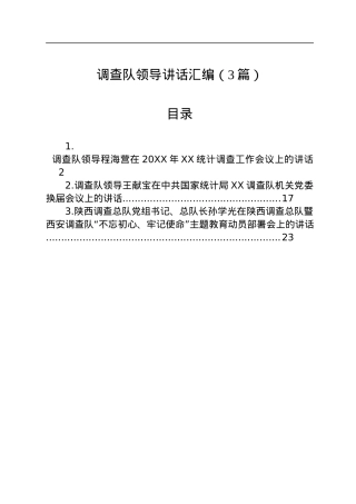 调查队领导讲话汇编（3篇）.docx