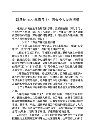 副县长2022年度民主生活会个人发言提纲.docx