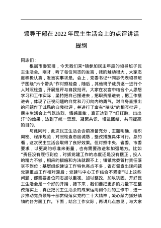 领导干部在2022年民主生活会上的点评讲话提纲.docx