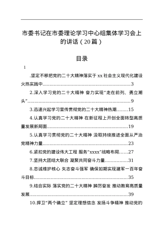 市委理论学习中心组集体学习党的二十大精神发言（20篇）.docx