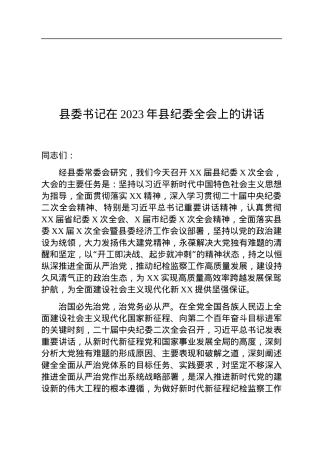 书记在2023年县纪委全会上的讲话.docx
