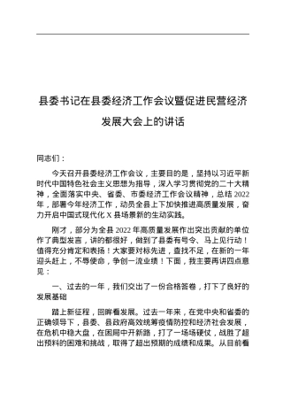 县委书记在县委经济工作会议暨促进民营经济发展大会上的讲话.docx