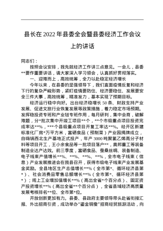 县长在2022年县委全会暨县委经济工作会议上的讲话.docx