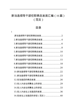 新当选领导干部任职表态发言汇编（16篇）（范文）.docx