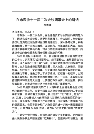杨青建：在市政协十一届二次会议闭幕会上的讲话（20221230）.docx