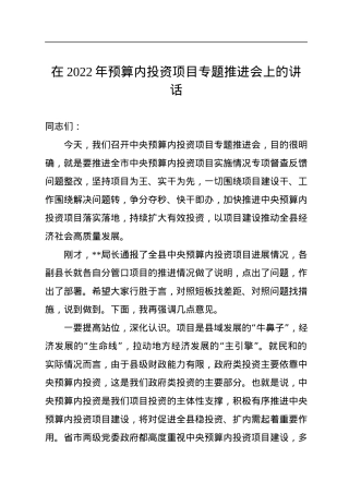 在2022年预算内投资项目专题推进会上的讲话.docx