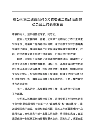 在公司第二巡察组对XX党委第二轮政治巡察动员会上的表态发言.docx