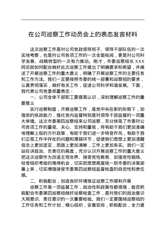 在公司巡察工作动员会上的表态发言材料.docx