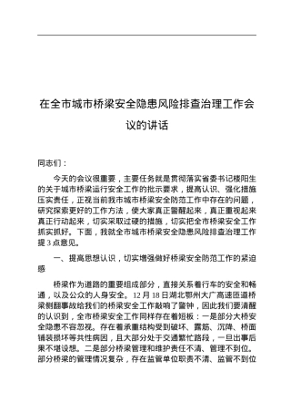 在全市城市桥梁安全隐患风险排查治理工作会议的讲话.docx
