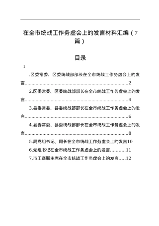 在全市统战工作务虚会上的发言材料汇编（7篇）.docx