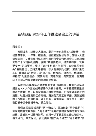 在镇政府2023年工作推进会议上的讲话.docx