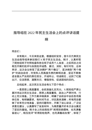 指导组在2022年民主生活会上的点评讲话提纲.docx