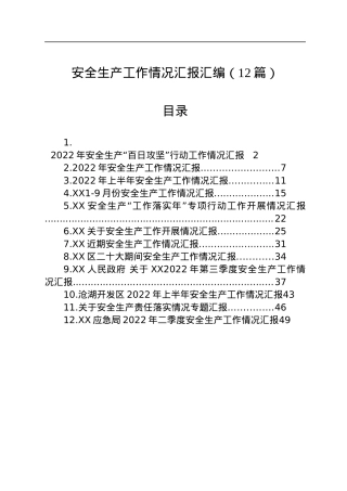 2022年安全生产工作情况汇报汇编（12篇）.docx