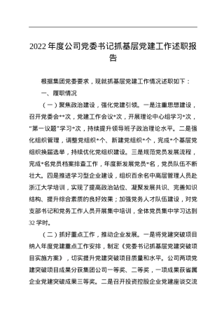 2022年度公司党委书记抓基层党建工作述职报告.docx
