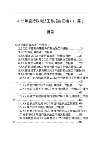 2022年度行政执法工作报告汇编（18篇）.docx