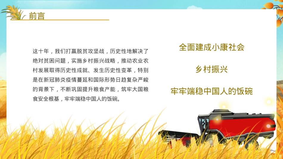 粮食安全党课讲稿：谈谈我国的新粮食安全（ppt）.pptx_第3页