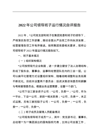 2022年公司领导班子运行情况自评报告.docx