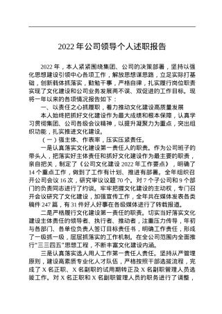 2022年公司领导个人述职报告.docx