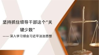 深入学习领会法治思想模板（ppt）.pptx