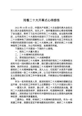 观看二十大开幕式心得感悟.docx