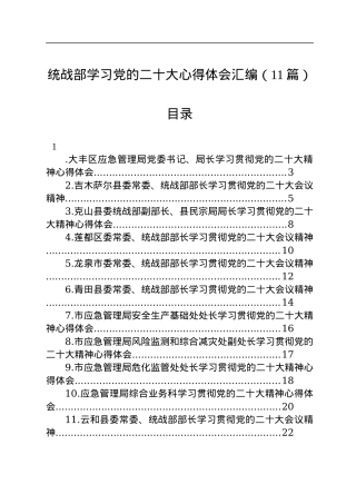 统战部学习党的二十大心得体会汇编（11篇）.docx
