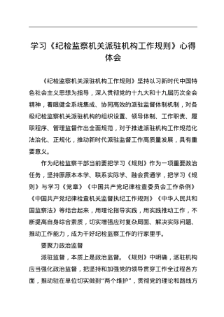 学习《纪检监察机关派驻机构工作规则》心得体会.docx