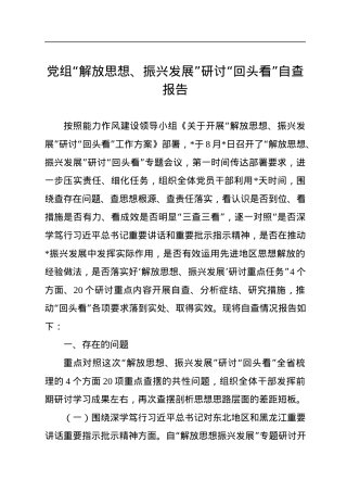 党组“解放思想、振兴发展”研讨“回头看”自查报告.docx