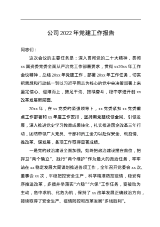 公司2022年党建工作报告.docx