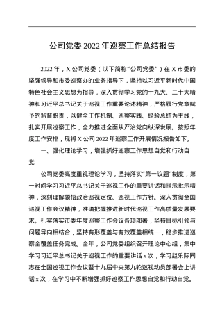 公司党委2022年巡察工作总结报告.docx