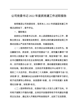 公司党委书记2022年度抓党建工作述职报告.docx