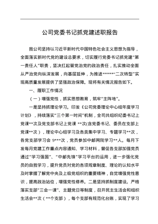 公司党委书记抓党建述职报告.docx
