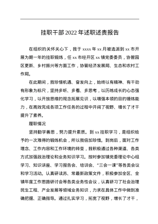 挂职干部2022年述职述责报告.docx