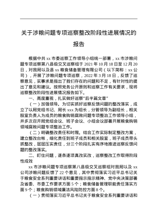 关于涉粮问题专项巡察整改阶段性进展情况的报告.docx