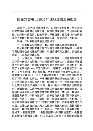 国企党委书记2022年述职述德述廉报告.docx