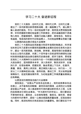 纪委监委干部学习二十大报告心得体会.docx