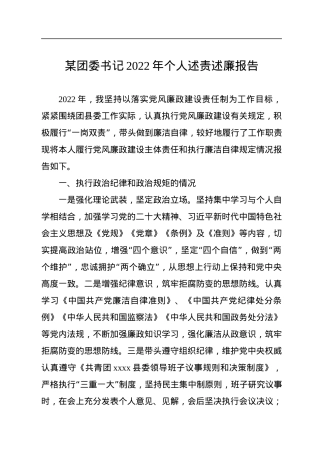 某团委书记2022年个人述责述廉报告.docx