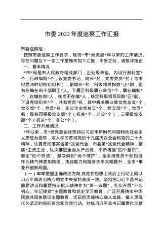 市委2022年度巡察工作汇报.docx