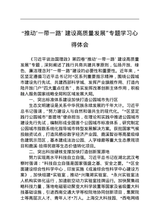 “推动‘一带一路’+建设高质量发展”专题学习心得体会.docx