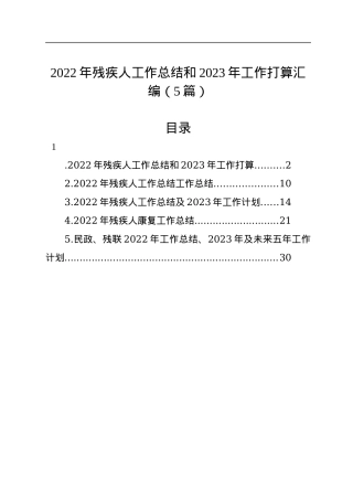 2022年残疾人工作总结和2023年工作打算汇编（5篇）.docx