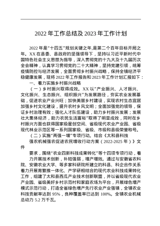 2022年工作总结及2023年工作计划.docx